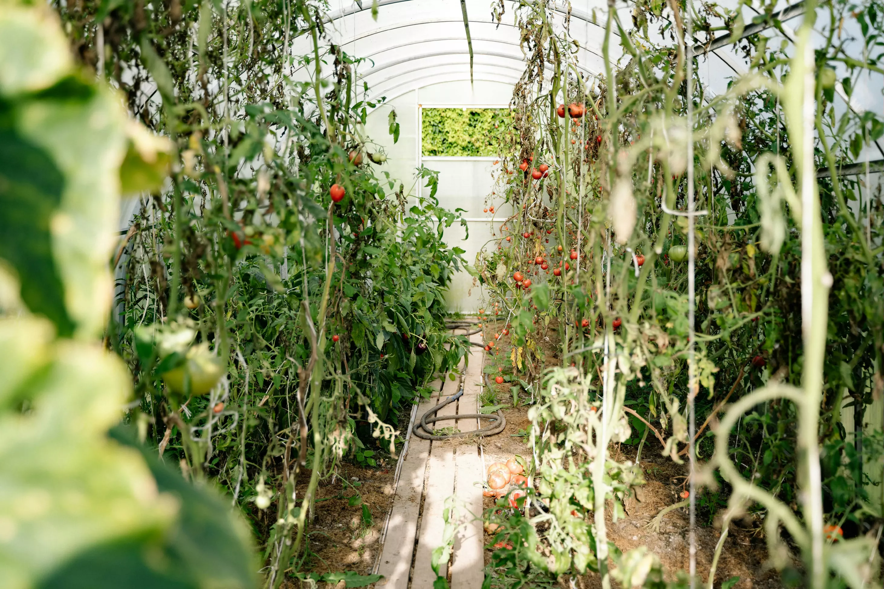Agriculture